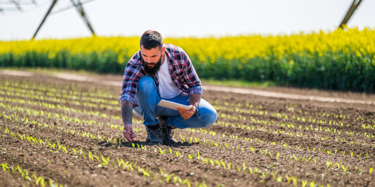 suelo fertil como conseguirlo