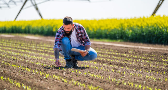 suelo fertil como conseguirlo