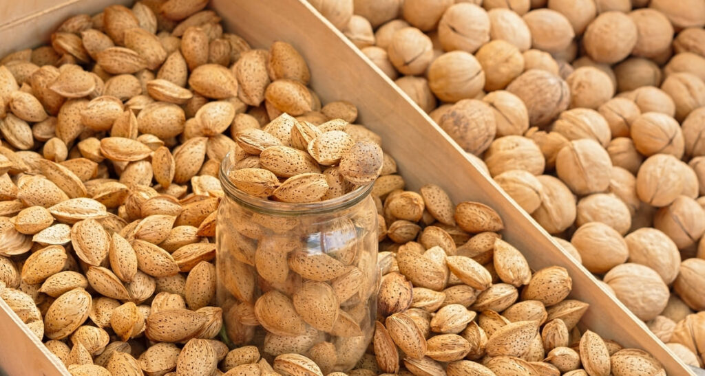 cultivo del almendro