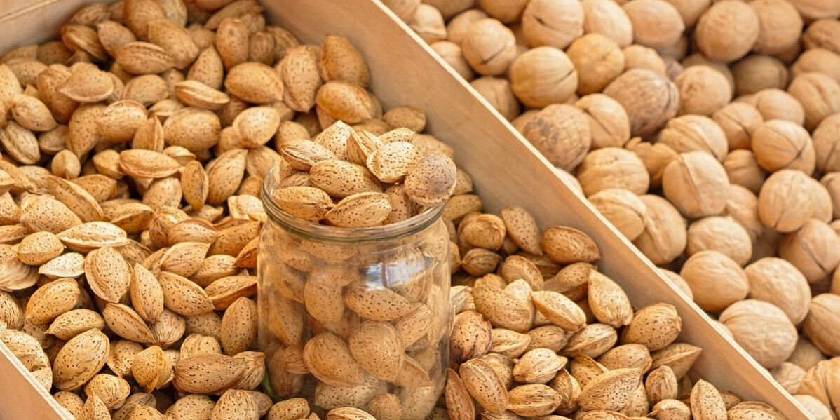 cultivo del almendro cultivo del almendro